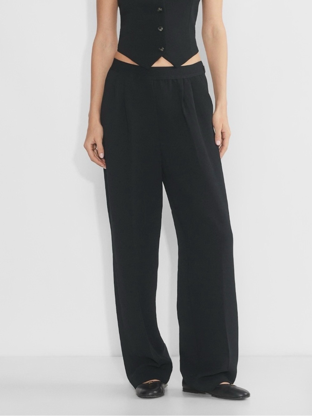 Babaton Pull-On Wide Leg Pant Trousers Elastic Waist Pockets Aritzia